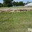 26'x7.5'-hay-feeder-wagon-w/no-gear-image-7