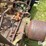 john-deere-b-image-16