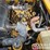 2019-weiler-p385b-image-23