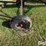 kewanee-500-image-16