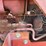 farmall-340-gas-with-loader-image-23
