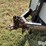 2014-thunder-creek-equipment-adt-990-image-9