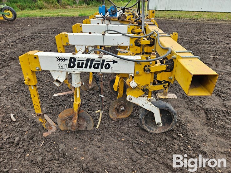 buffalo-6300-image-18