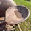 international-mccormick-deering-wd-9-image-33