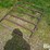 48"-gate-image-3