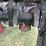 norwood-hsd2500-kwik-till-image-17