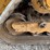 2022-caterpillar-289d3-image-20