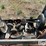 john-deere-15-image-6