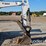 2018-bobcat-e50-image-17