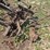 international-238-image-7