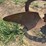 one-bottom-plow-image-6