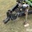 wylie-1000-image-9