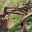 international-harvester-two-bottom-pull-type-moldboard-plow-image-14