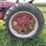 farmall-m-image-36