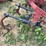 international-harvester-34-461-fast-hitch-mounted-cultivator-image-18