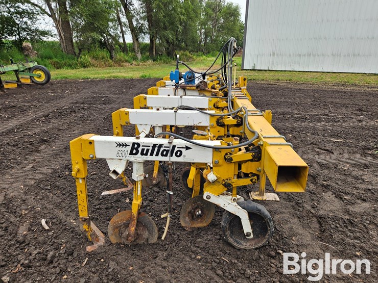 buffalo-6300-image-4