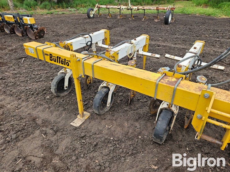 buffalo-6300-image-15