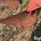 massey-ferguson-57-image-16