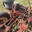 mccormick-deering-two-row-planter-image-23