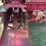 new-holland-316-image-6