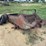 manure-spreader-image-3