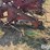 international-183-image-9