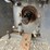 2025-massey-ferguson-2605h-image-8