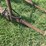 loader-for-farmall-300-or-350-image-14