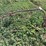 plow-trash-wheel-image-1