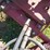 international-1100-image-15