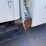 #2253-•-1998-isuzu-2-ton-cargo-truck-(has-nm-title)-(located-in-las-cruces)-image-24