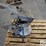 shivers-grain-spreader-1/3-hp-image-8