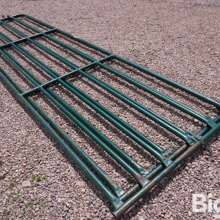 16' Livestock Gates