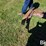 international-1100-image-18