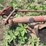 farmall-c-and-200-wide-front-end-image-8
