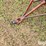 international-480-image-9
