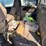 2002-ford-f250-image-5