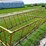 26'x7.5'-hay-feeder-wagon-w/no-gear-image-4