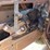 1997-ford-f350-xlt-image-7