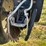 kinze-3600-image-19