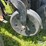 sunflower-9433-30-image-9