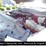 2017-ford-f450-image-25