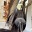 1963-utility-pup-image-19