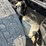 2007-kenworth-w900-image-55