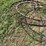 plow-trash-wheel-image-9
