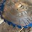 #1029-•-vertical-edger-blades---frye-lumber-company-image-2