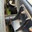 2009-kenworth-t800-image-19