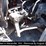 2010-kenworth-t660-image-2