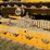 john-deere-440-image-44