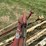 #4004-•-new-holland-10ft-bar-rake-image-12